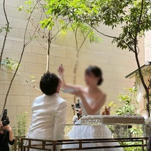 トリフォーリア ＮＡＧＯＹＡの画像