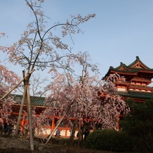 平安神宮会館の画像｜桜の時期の神苑