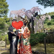 平安神宮会館の画像｜会場からもみえるこの枝垂れ桜のおかげで桜の咲く平安神宮での結婚式という夢を叶えてもらいました