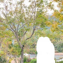 ＬＡＺＯＲ ＧＡＲＤＥＮ ＫＵＭＡＭＯＴＯ（ラソール ガーデン 熊本）の画像｜ガーデンです
四季により木の色が変わります