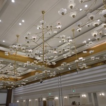 ART HOTEL NEW TAGAWA(アートホテル小倉　ニュータガワ)の画像｜披露宴会場天井