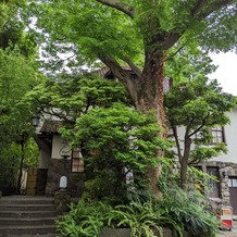 旧石丸邸　ガーデンテラス広尾　（Garden Terrace HIROO residence ISHIMARU）の画像｜会場の外観