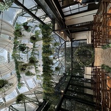 旧石丸邸　ガーデンテラス広尾　（Garden Terrace HIROO residence ISHIMARU）の画像