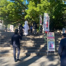 大麻比古神社の画像｜御神木