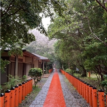 南紀勝浦温泉　ホテル浦島の画像｜山頂の浦島神社です