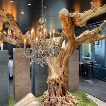 SUD restaurant TERAKOYAの画像｜会場のオリーブの木のオブジェ