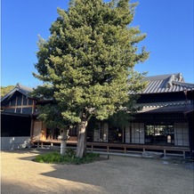 高宮庭園茶寮の画像｜日本庭園のお散歩もできます
