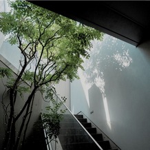 Ｌ２１２６の画像