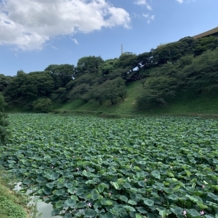 東京　九段会館テラス（登録有形文化財）の画像