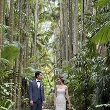 皿の上の自然（SALLY WEDDING DESIGN）の画像