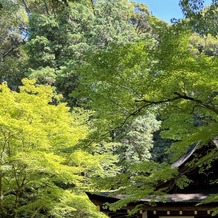 上賀茂神社 京都の画像