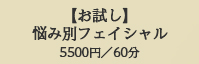 【お試し】悩み別フェイシャル5500円／60分