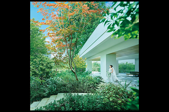 WeGreen RESORTの動画