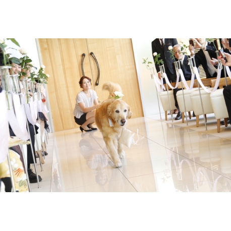 奈良町　あしびの郷