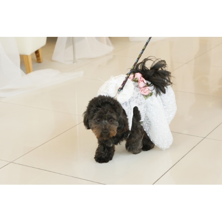 奈良町　あしびの郷