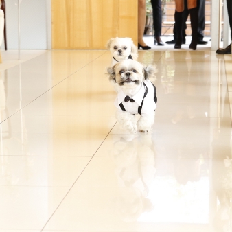 奈良町　あしびの郷