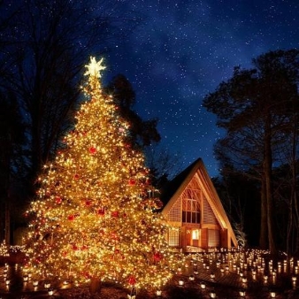 石の教会 内村鑑三記念堂：【軽井沢】12月限定◆クリスマスウエディングフェア◆：