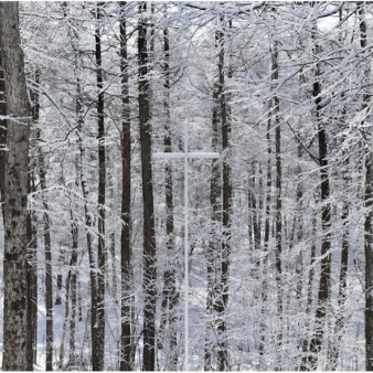 ニドムリゾートウエディング:【~4月でご検討の方必見】お得なウィンタープランフェア: