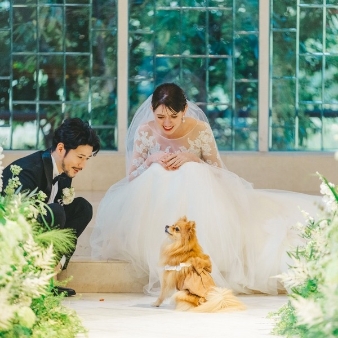 THE CHELSEA COURT（ザ・チェルシーコート）