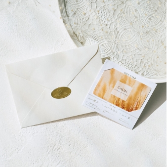 マイプレシャス:選べる３つの贈り方「チョイスギフトコレクション」封筒カードタイプ