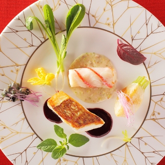 アートグレイス ウエディングコースト 大阪