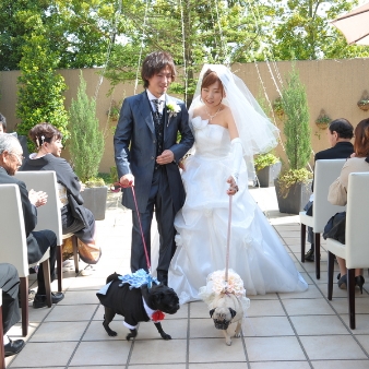 スタイリッシュウェディング　ヴィーナスコート　長野