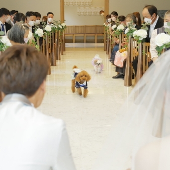 スタイリッシュウェディング　ヴィーナスコート　長野