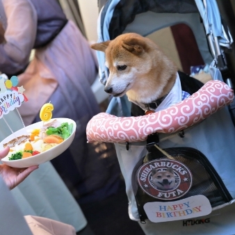 スタイリッシュウェディング　ヴィーナスコート　長野