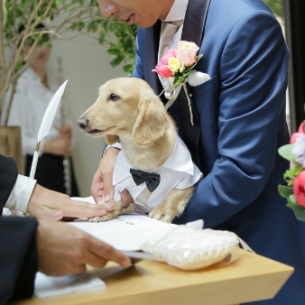 スタイリッシュウェディング　ヴィーナスコート　佐久平