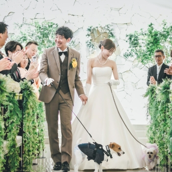 スタイリッシュウェディング　ヴィーナスコート　佐久平