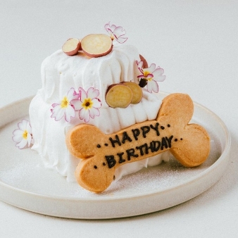 Sakurazaka RETREAT（旧 LITTLE RETREAT）