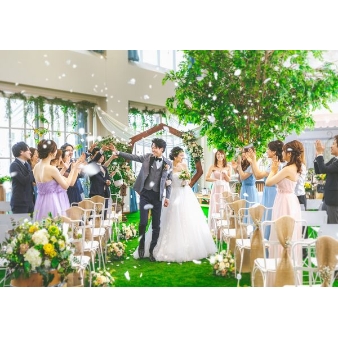 ピエトラ・セレーナ