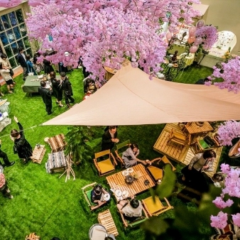 ピエトラ・セレーナ