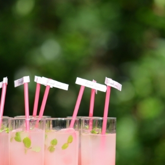 ＡＬＴＡＶＩＳＴＡ　ＧＡＲＤＥＮ（アルタビスタ　ガーデン）