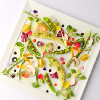 ＡＬＴＡＶＩＳＴＡ　ＧＡＲＤＥＮ（アルタビスタ　ガーデン）