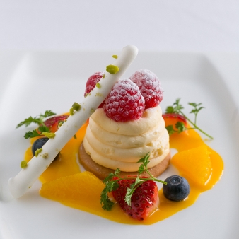 ＡＬＴＡＶＩＳＴＡ　ＧＡＲＤＥＮ（アルタビスタ　ガーデン）