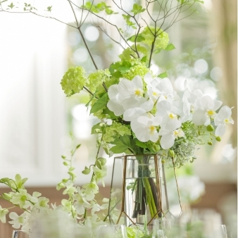 ＡＬＴＡＶＩＳＴＡ　ＧＡＲＤＥＮ（アルタビスタ　ガーデン）