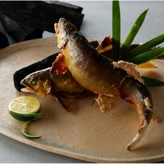 ザ オーク ガーデン／別邸 木屋