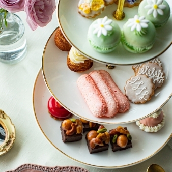 アルマリアン 福岡（ＡＬＭＡＬＩＥＮ　ＦＵＫＵＯＫＡ）