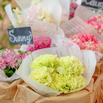 ブランシュメゾン・エ・コートダジュール