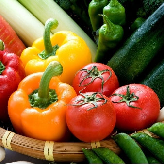 エミリア（Wedding Court EMILIA）