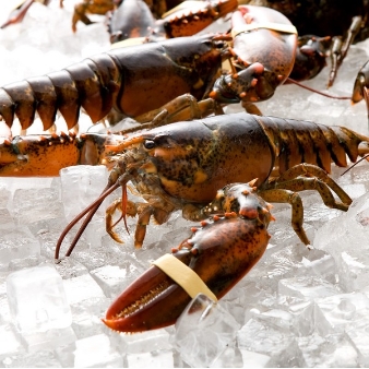 エミリア（Wedding Court EMILIA）