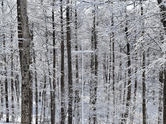 ニドムリゾートウエディング