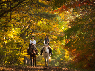 星野リゾート　リゾナーレ八ヶ岳：紅葉を眺めながらの乗馬体験「紅葉乗馬」