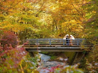 KYUKARUIZAWA KIKYO, Curio Collection by Hilton（元 旧軽井沢ホテル）：秋ならではの景色を楽しみながら、自然な写真から神秘的な写真まで様々撮影が可能です