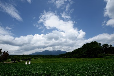 s-ロケーションフォト画像 059.jpg