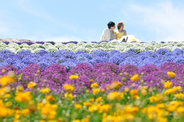 ブルーミントンヒルのプランナーブログ 北海道の夏ならでは おすすめ前撮りスポット 美瑛篇 結婚式場 ウエディング 挙式 ブライダル ゼクシィ