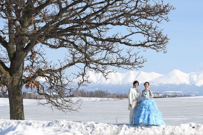 ブルーミントンヒルのプランナーブログ 国内リゾート 冬の北海道でフォトウエディング 新婚旅行を叶えてみませんか 結婚式場 ウエディング 挙式 ブライダル ゼクシィ