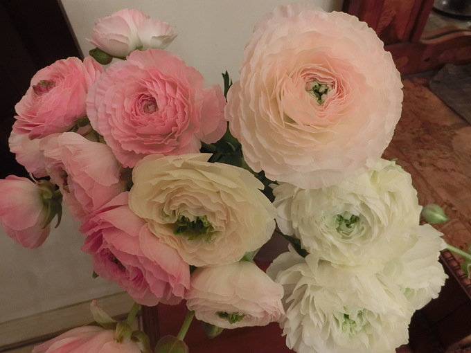 ホテルモントレ大阪のプランナーブログ お花の記事一覧 結婚式場 ウエディング 挙式 ブライダル ゼクシィ