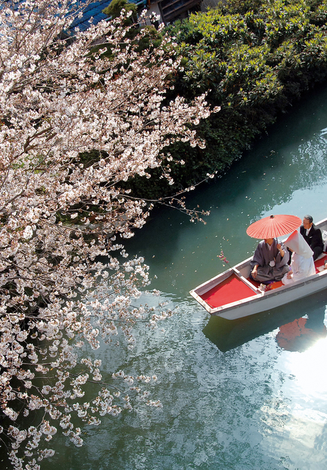 花嫁舟縦（桜）.jpg